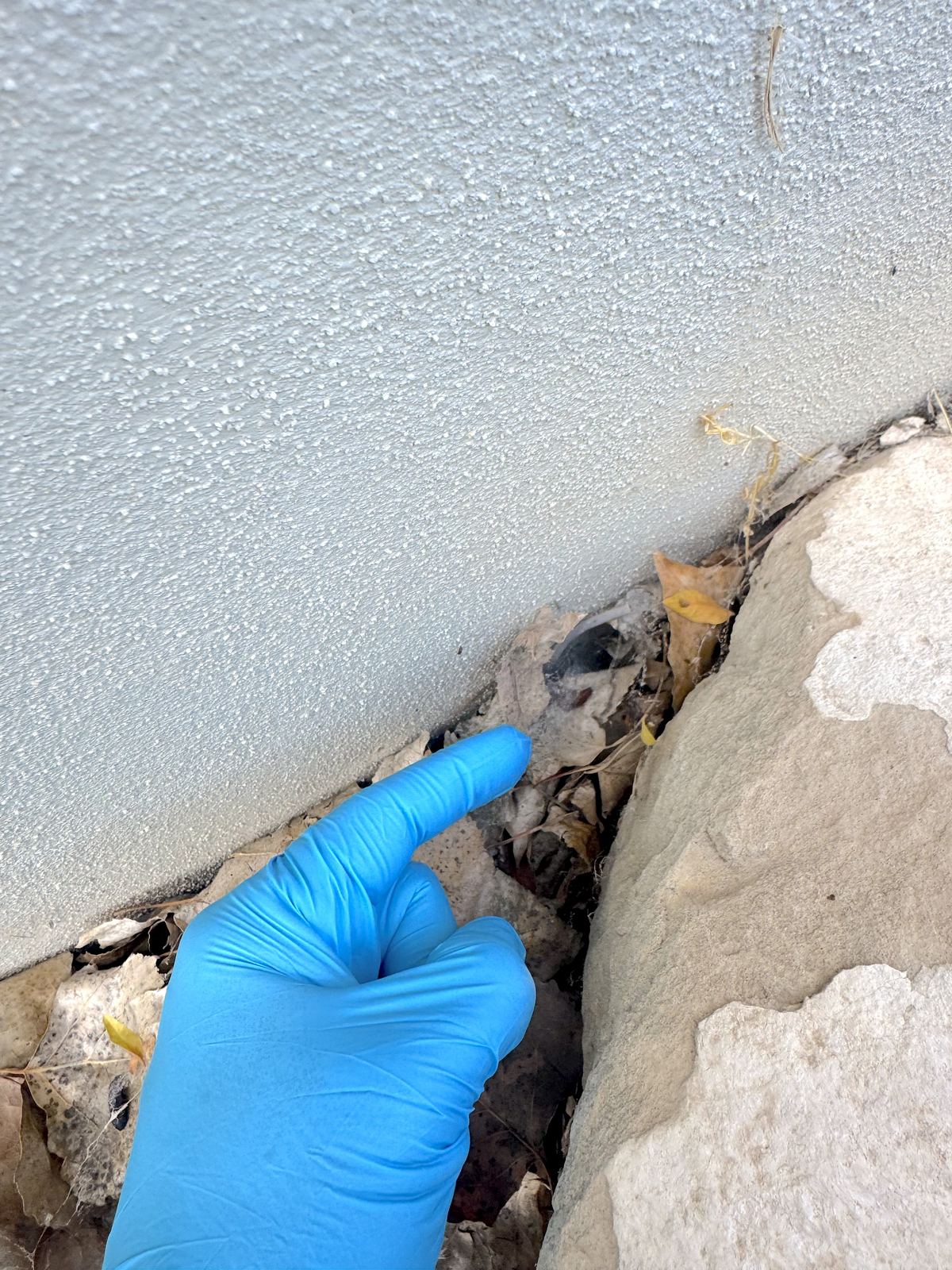 Spider webbing tucked into a foundation expansion joint